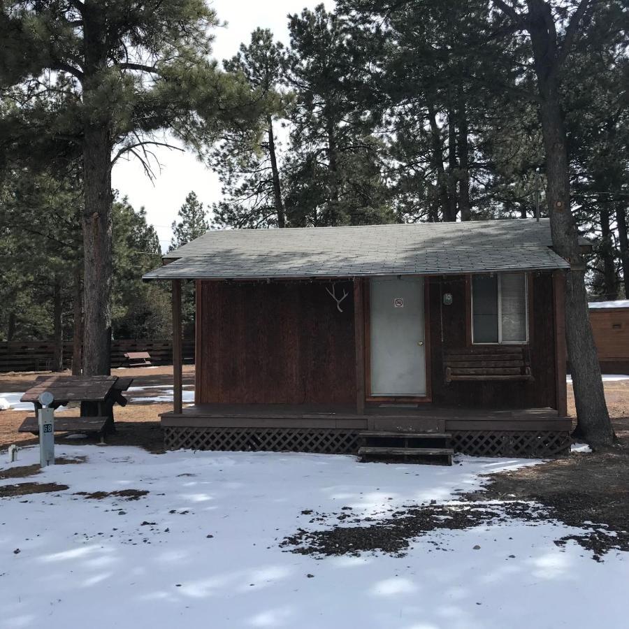 Grandview Cabins & Rv Resort South Fork Εξωτερικό φωτογραφία